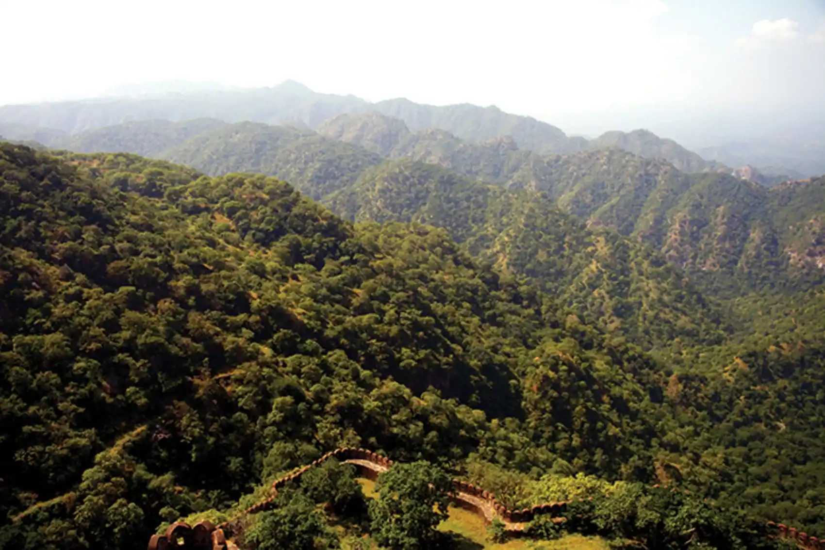 Kumbhalgarh Wildlife Sanctuary – A Haven for Leopards