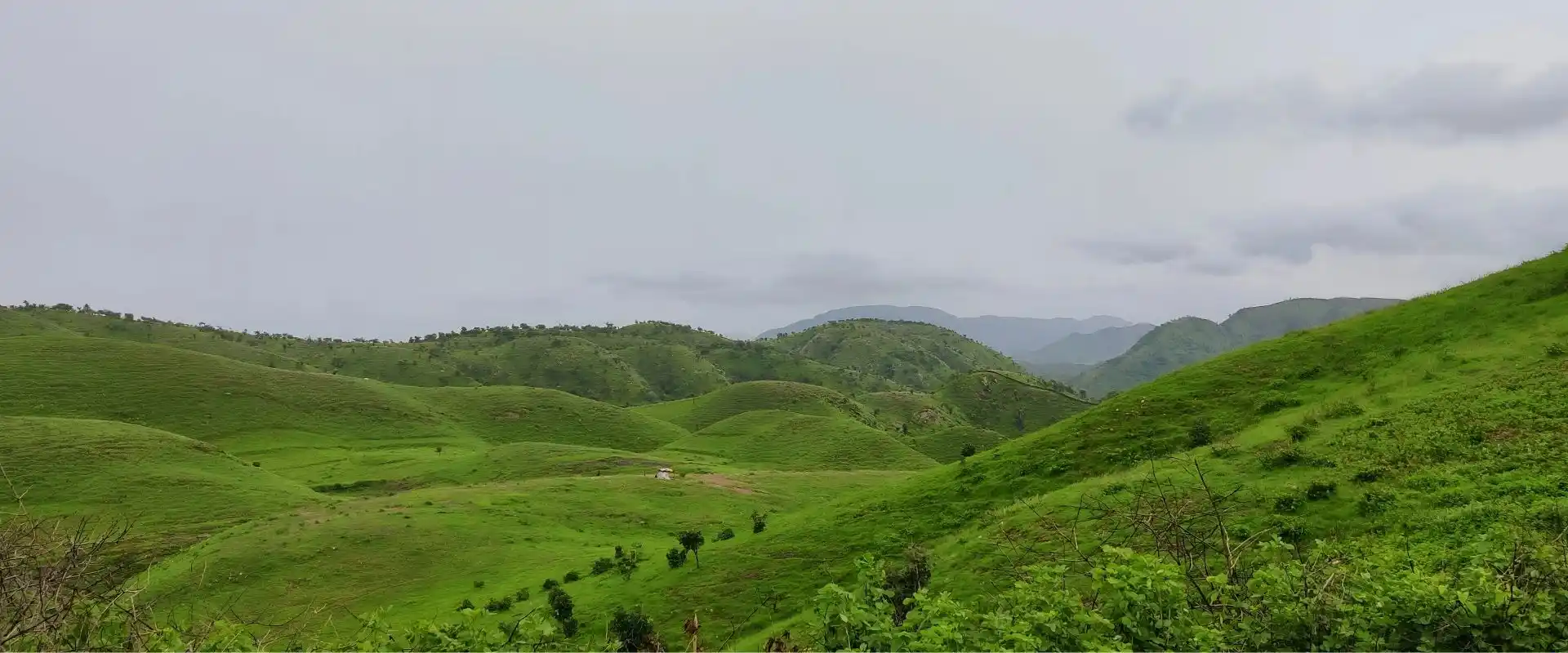 Rayta Hills Udaipur